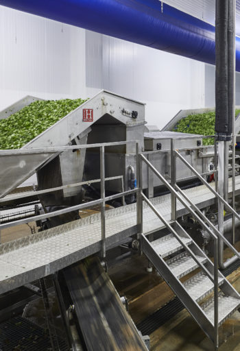 Ligne de lavage, laveur de légumes