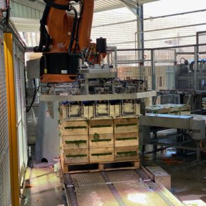 Robot de palettisation cageots, carottes