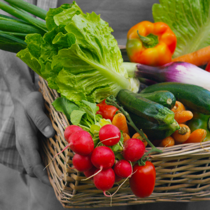 Légumes et fruits, maraîchage