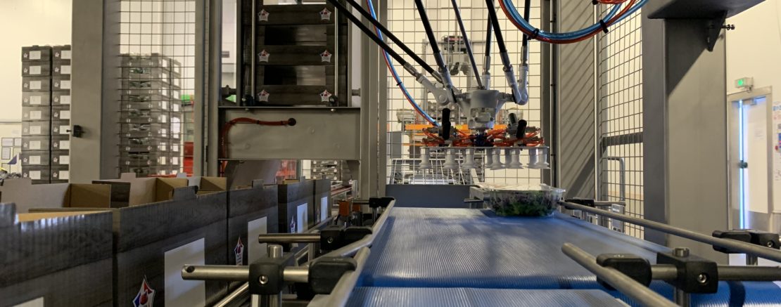 Tapis de transport alimentaire à courroies : Devis sur Techni